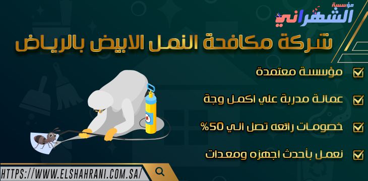 شركة مكافحة النمل الأبيض بالرياض