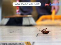 القضاء على الحشرات نهائيا