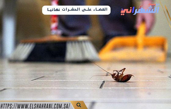 القضاء على الحشرات نهائيا