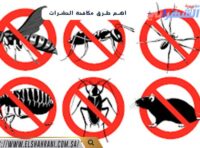 اهم طرق مكافحة الحشرات