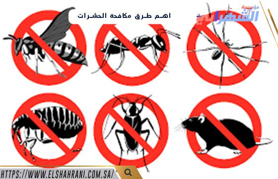 اهم طرق مكافحة الحشرات