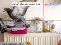 طرق التخلص من حمام النوافذ
