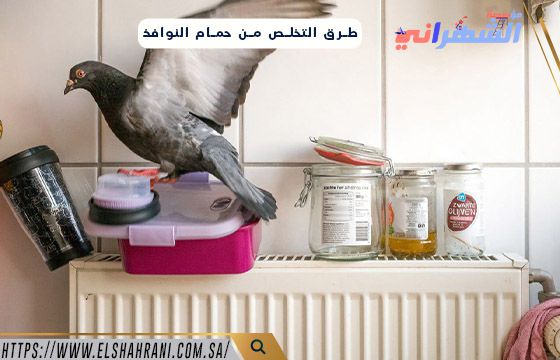 طرق التخلص من حمام النوافذ