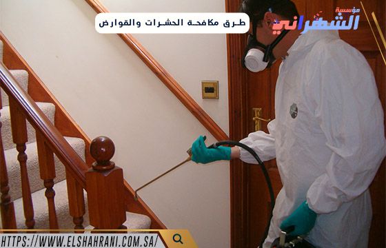 طرق مكافحة الحشرات والقوارض