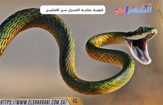 كيفية حماية المنزل من الثعابين